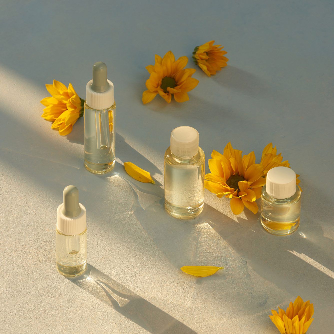 Top 8 Plant-Based Skincare Ingredients For Clean Beauty – Luxury by ...