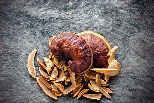 Ingredient Spotlight: Reishi Mushroom Is The New Anti-Aging Holy Grail