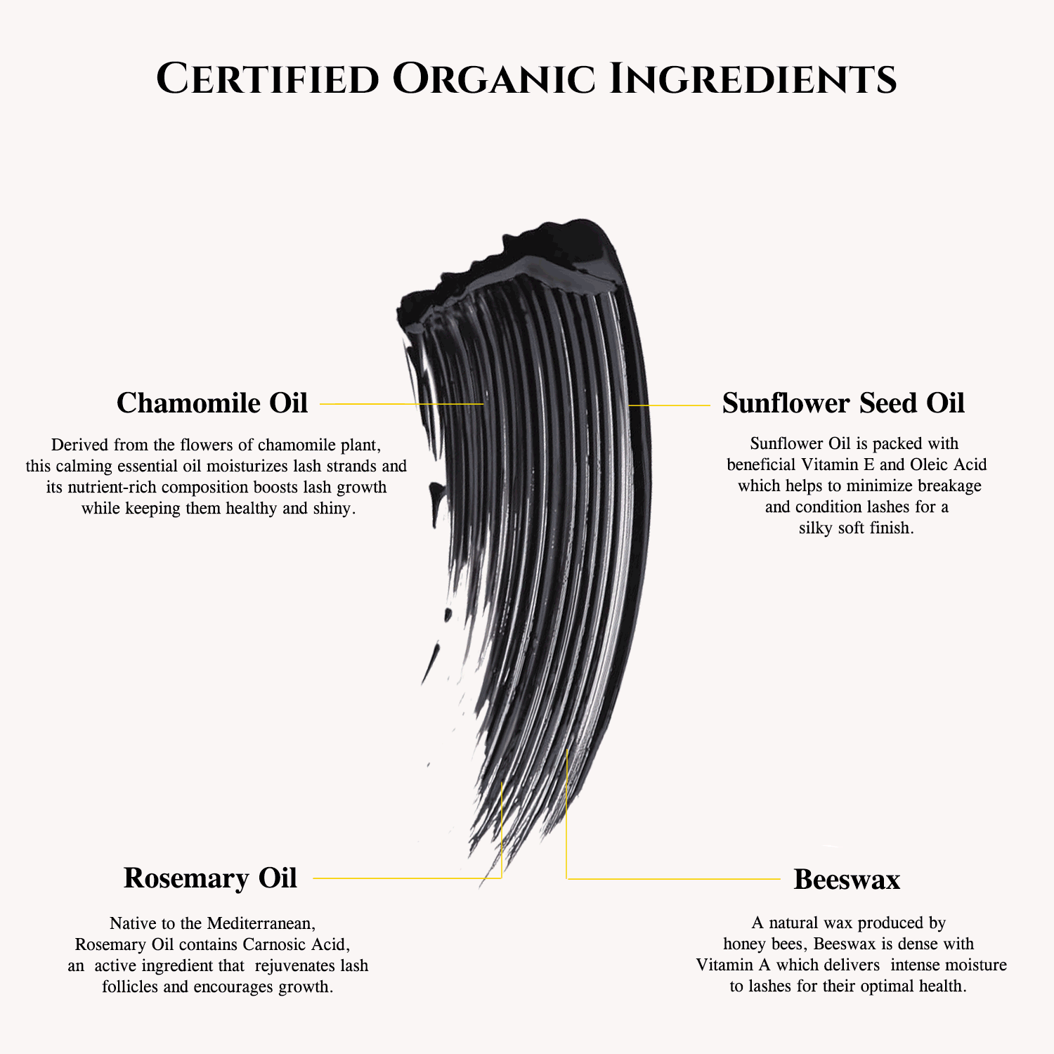 Organic Eyelash Mascara Organic Ingredients